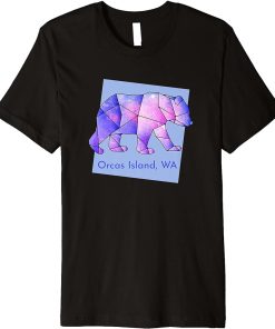 Orcas Island Galaxy Bear Abstract Geometrical Animal Stars Premium T-Shirt